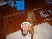 Headband