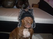 Bad Hat
